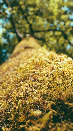 为什么要搭建蜘蛛池截图4