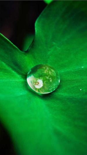 seo外链在线提交工具截图4