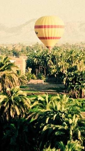 深圳seo培训泛目录外推截图3