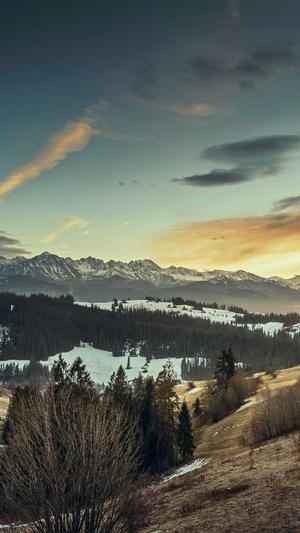 冠县网站建设截图1