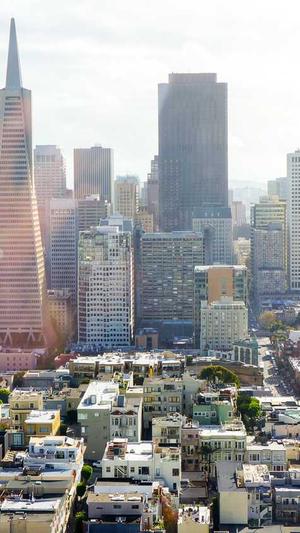 泛目录网站截图4