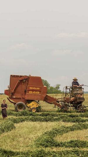 蜘蛛池程序php截图2