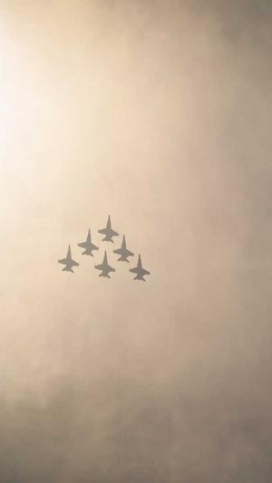 局域网站建设截图5