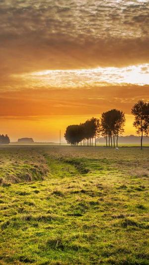 佛山顺德网站建设公司截图3