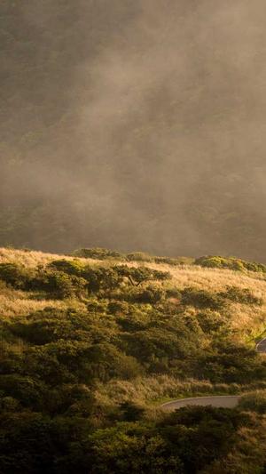 反向代理泛目录截图2