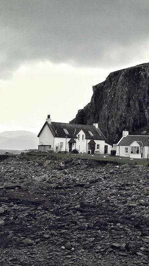 泛目录站群代发截图3