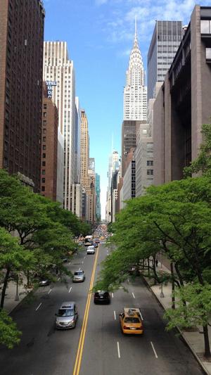 新手做黑帽蜘蛛池截图3