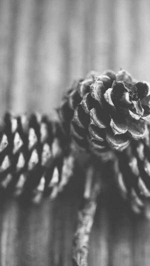 泛目录怎么做seo截图4