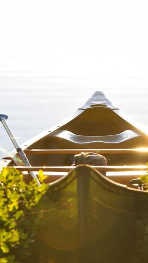 seo排名工具快速提高截图3