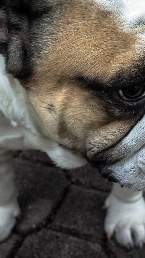 柳州seo优化截图1