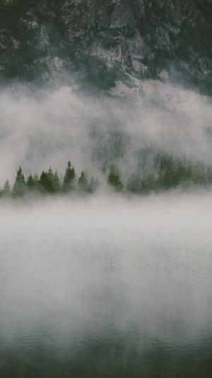 泛目录工具截图5