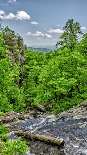 seo工具之家截图1