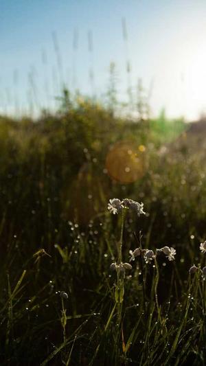 新余网站建设截图3