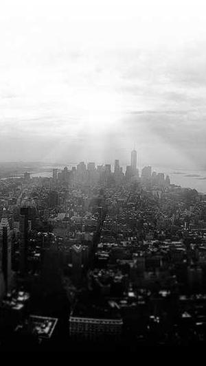 免费网站seo优化截图1