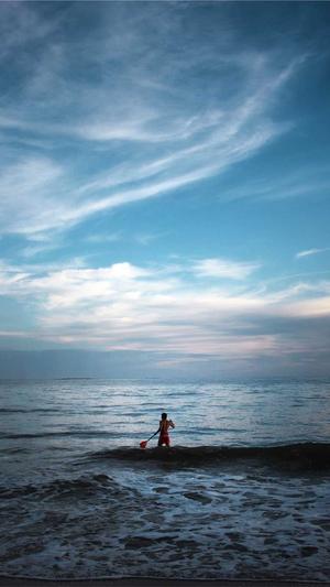 网站seo信息批量查询工具截图1