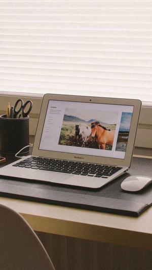 郑州seo网站有优化截图5