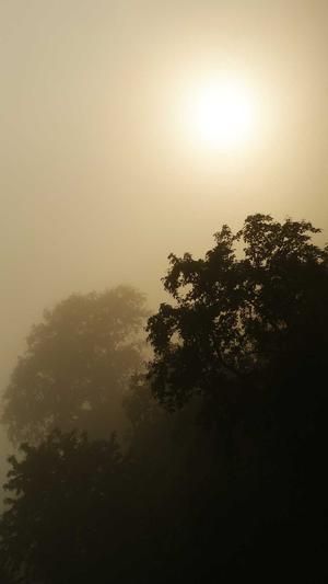 新余网站建设截图5