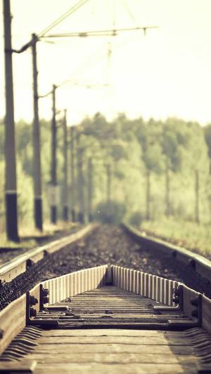 seo查询工具截图1