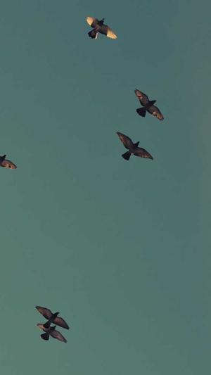 广州建设工程交易中心网站截图5