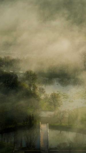 寄生虫蜘蛛池排名截图1