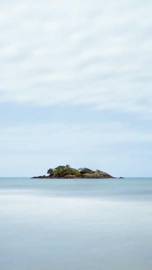 谁有百度蜘蛛池的网截图4