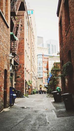 东莞关键词seo优化工具截图2