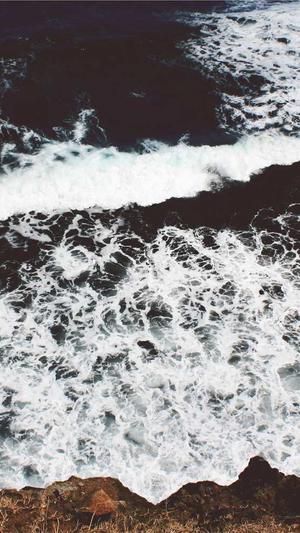 泛目录二站成仙截图3