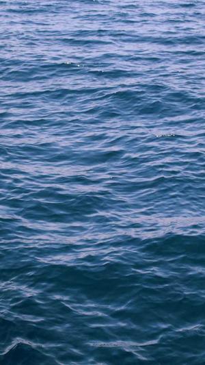 小霸王蜘蛛池后台测试截图2