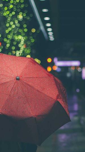 哪家建设网站截图5