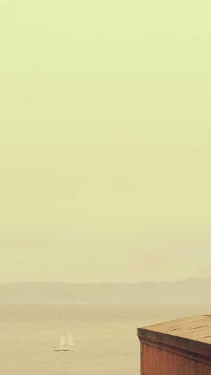 本地网站建设信息大全截图4