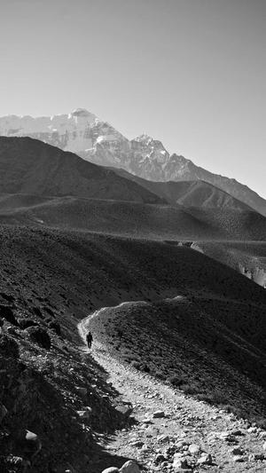 重庆网站seo方法截图2