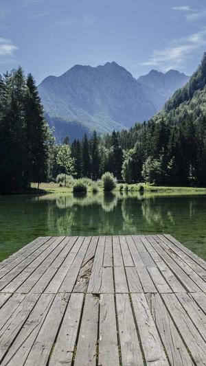 seo优化工具那个好截图1