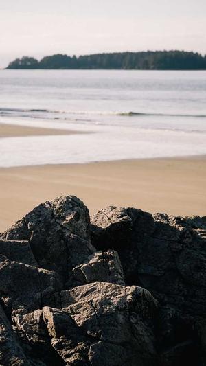 重庆seo怎么样截图4