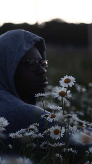 石家庄seo培训截图4