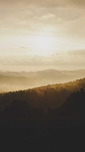 seo工具之家截图3