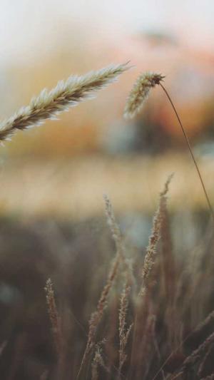 杭州门户网站建设截图2