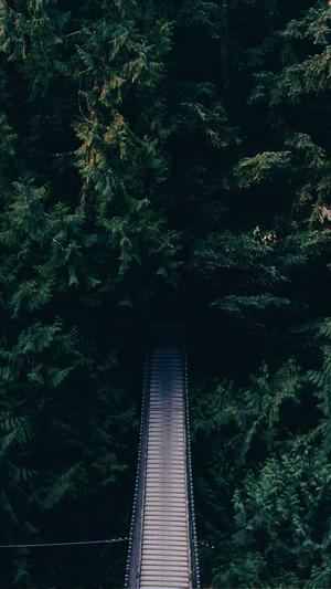 莲花泛目录站群程序截图2