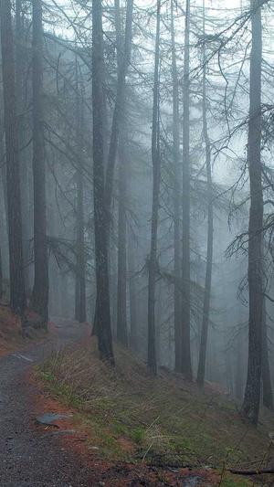 石青seo伪原创工具截图1