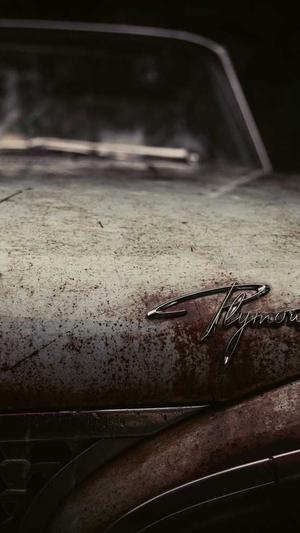 seo推广网站截图4