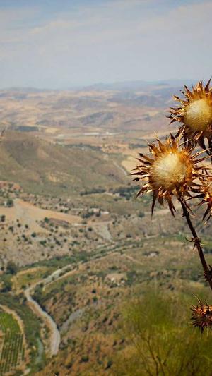 外贸 网站 建设截图4