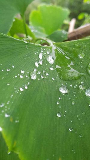 站长工具seo808截图3