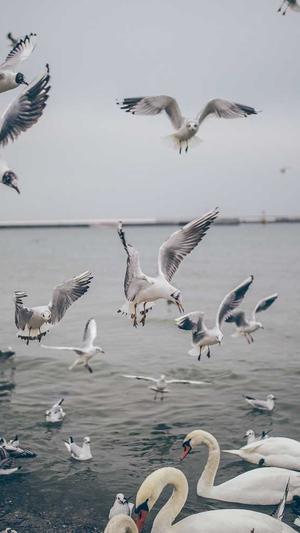 中国建设银行网站官网截图2