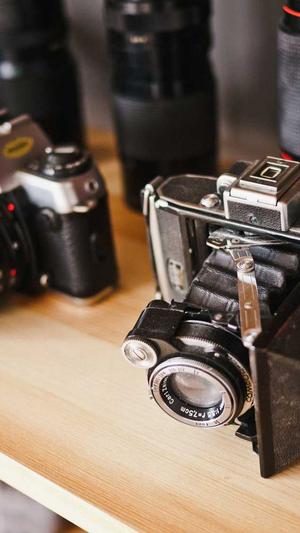 泛目录推广接单网站截图2