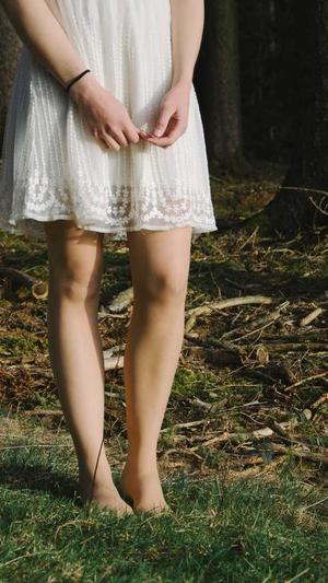 seo排名工具seo排名工具截图2