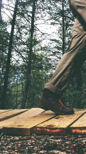 泛目录链接推广平台截图1