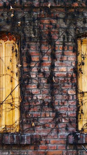 宁夏网站建设截图4