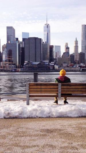 新人如何入手蜘蛛池截图1