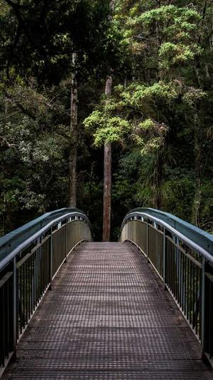 威海seo优化截图3