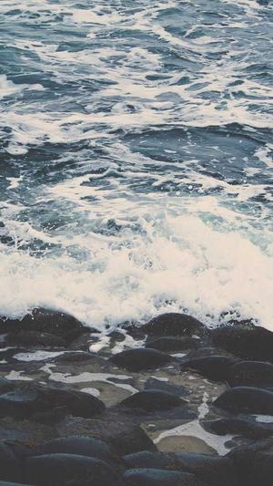 蜘蛛池的原理截图2