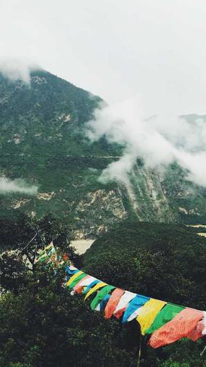 杭州seo优化公司截图3